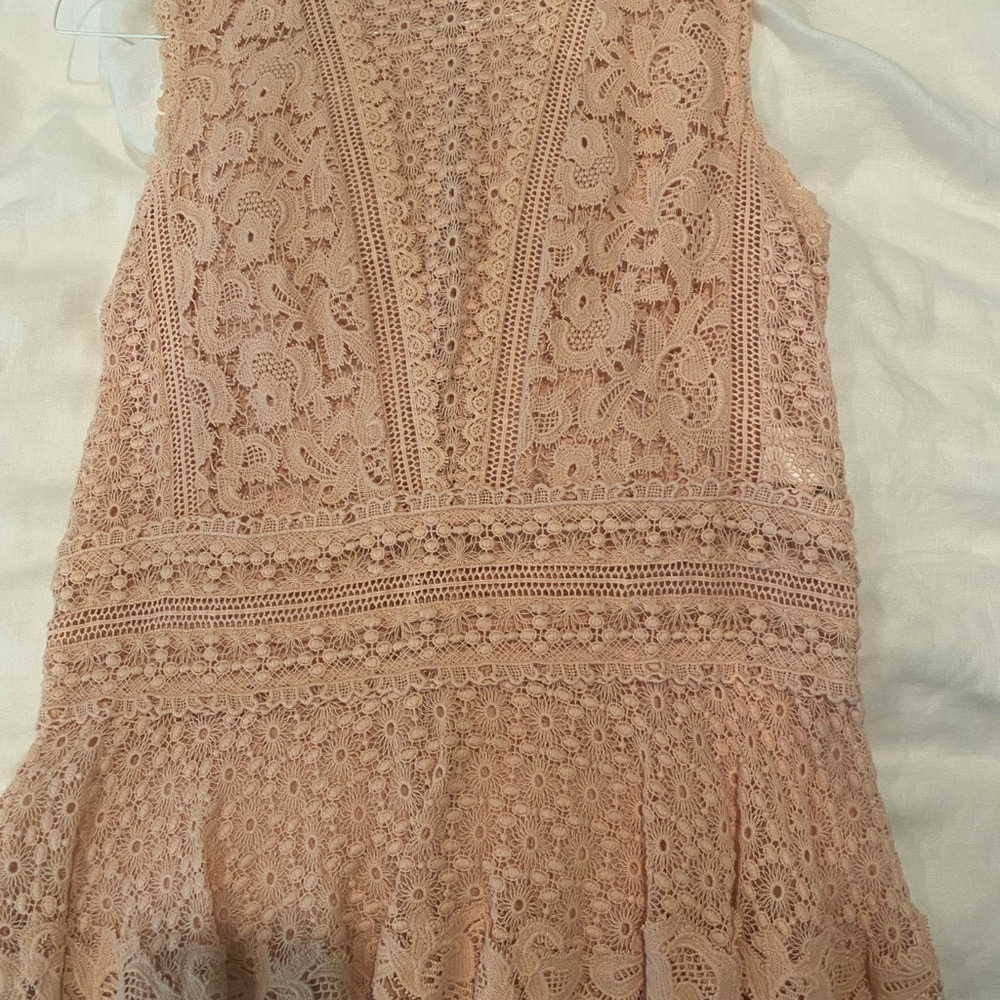 Rebecca Taylor lace top. Blush w/ruffle. Size 8.